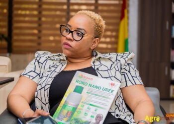 Katala 2025-2026: Mme Savané Fatoumata Binta Diallo, fondatrice de Guinée First Rural et du magazine Agronews, parmi les nominés