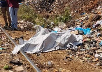 Conakry : un corps mutilé découvert à Kakimbo