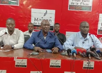 Crise de liquidité en Guinée : un mal ancien, selon le PDG de HAMANA 