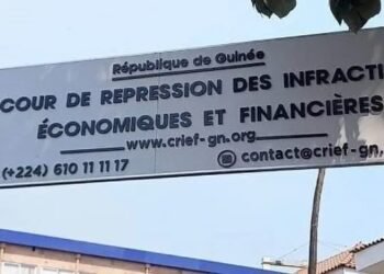 Parc urbain de Conakry : la CRIEF examine les conditions d’attribution du marché
