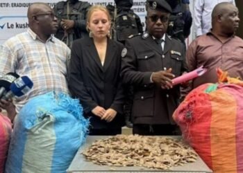 Conakry : 3 suspects présentés après la saisie de 359 kg d’écailles de pangolin