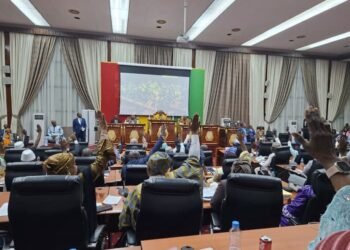 Guinée : les députés autorisent le recours aux ordonnances jusqu’au 5 octobre