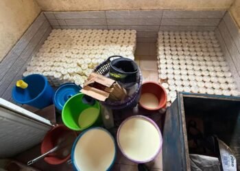 Conakry : démantèlement d’une unité clandestine de produits laitiers à Hamdallaye