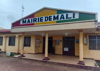 Mali : la mairie fixe le prix du kilogramme de viande à 55 000 GNF